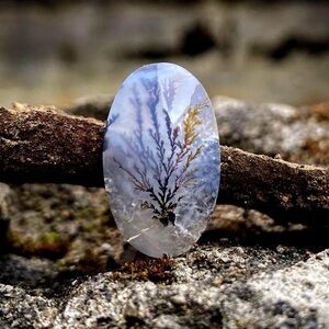 Scenic Dendrite Agate Cabochon: AAA Quality Gemstone (22x13x4mm)